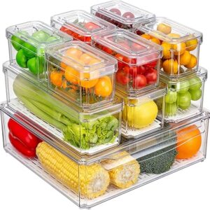 Set of 10 Refrigerator Organizer Bins